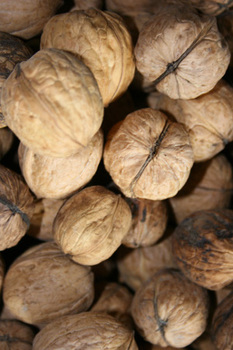 stockvault-pile-of-walnuts103960-1.jpg
